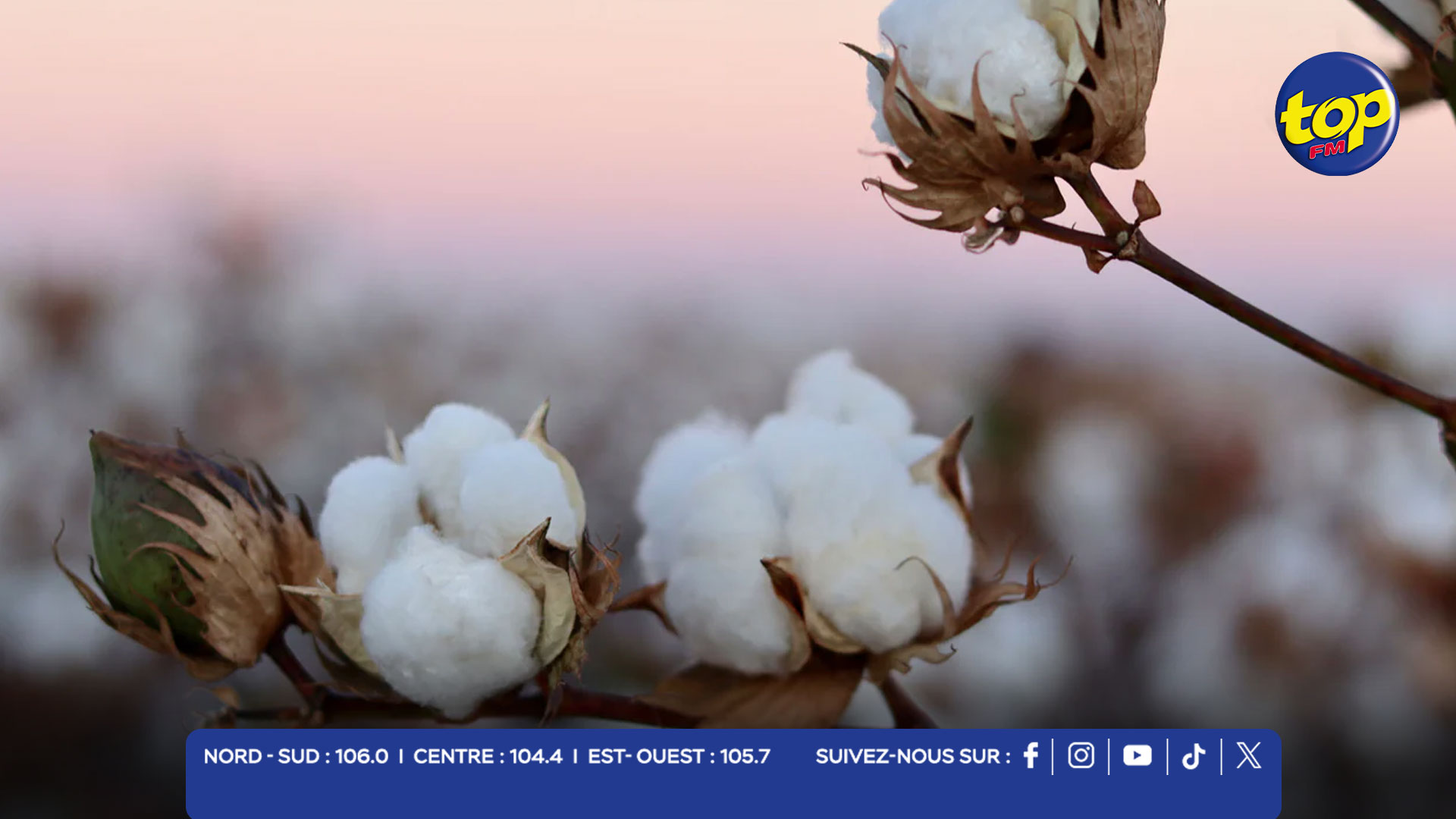 COTON COTON