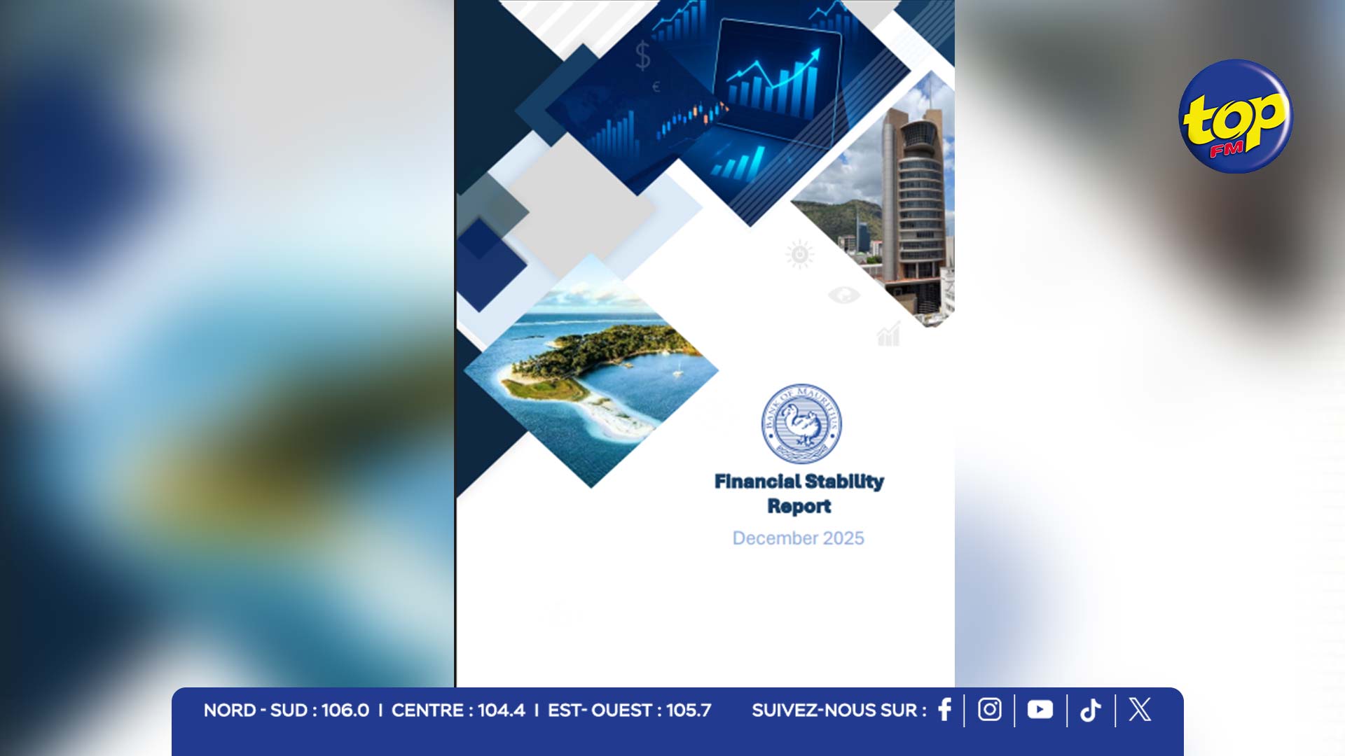 Financial Stability Report 2025