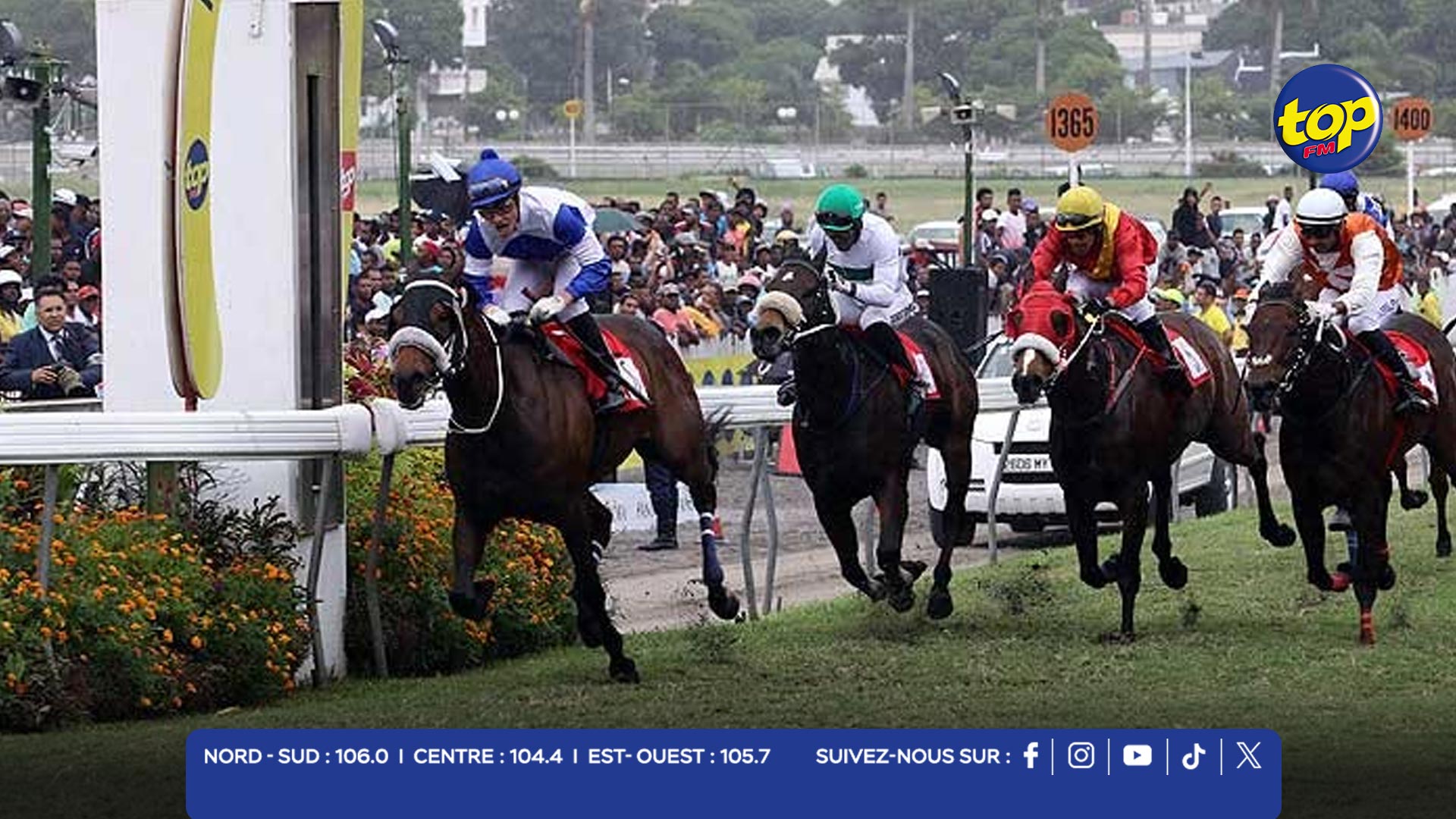 HIPPISME HIPPISME