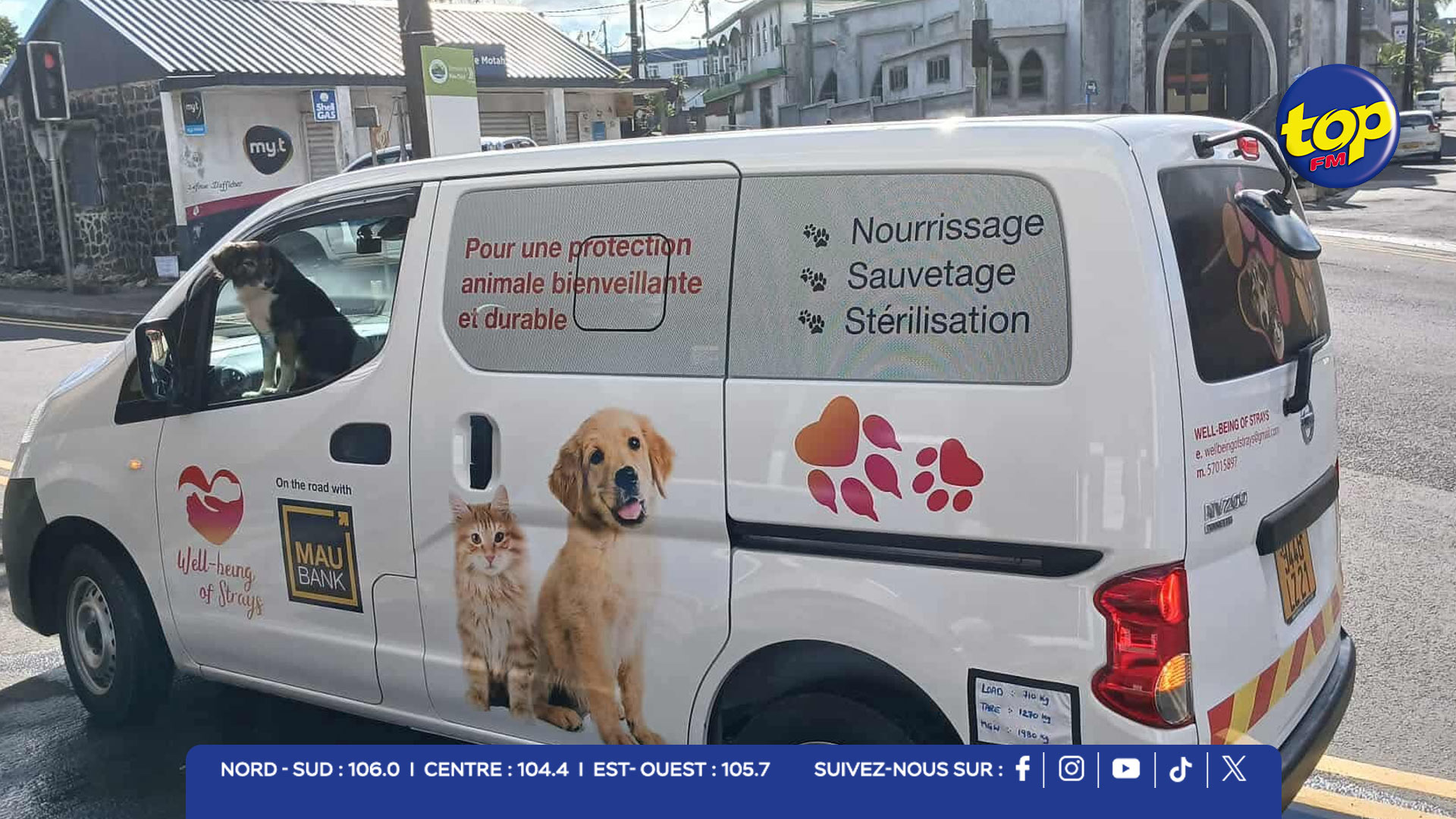 Well Being of Strays