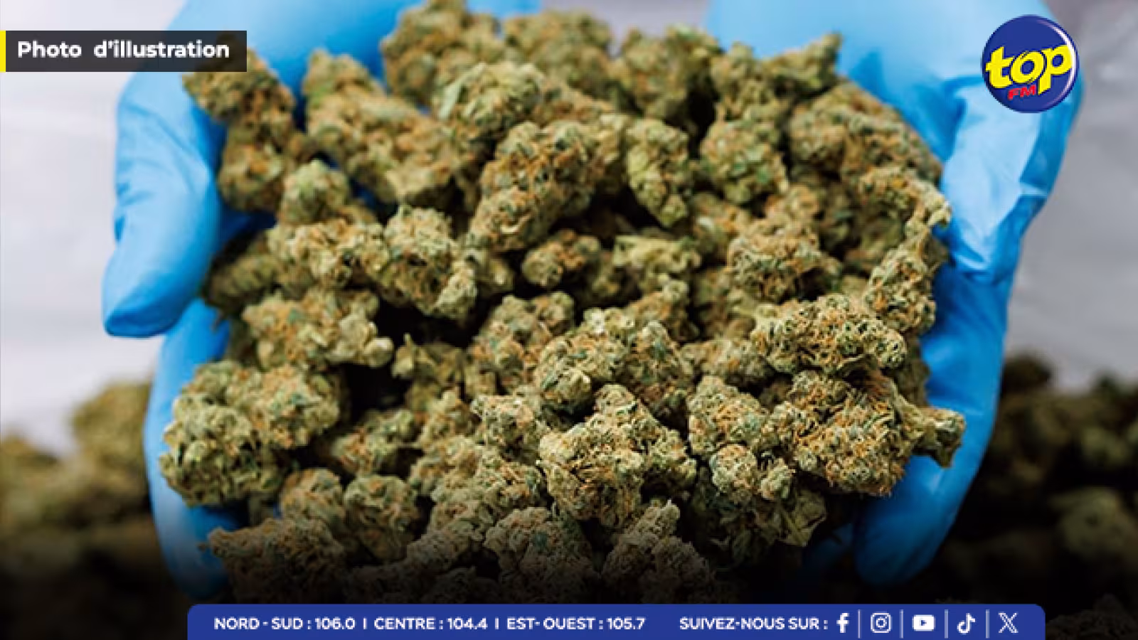 À l’aéroport SSR : Saisie de 5,38 kilos de cannabis