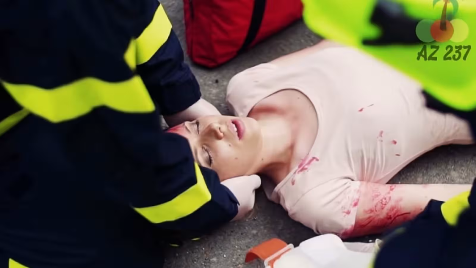 Un chien abandonné sauve la vie d’une femme accidentée
