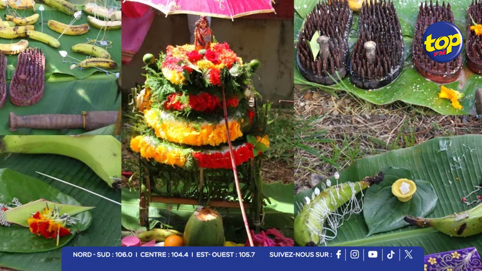Derniers préparatifs avant le Thaipoosam Cavadee : « Chaque cavadee est construit avec soin et dévotion… rotin, bambou et fleurs sacrées » 