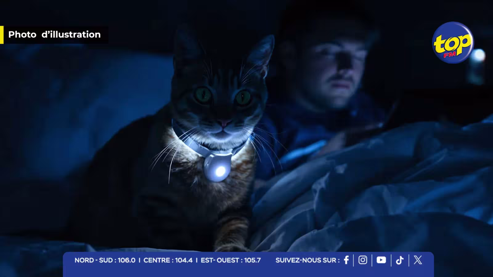 Collier traducteur : « Votre animal pourra bientôt vous dire « je t’aime » avec l'IA »