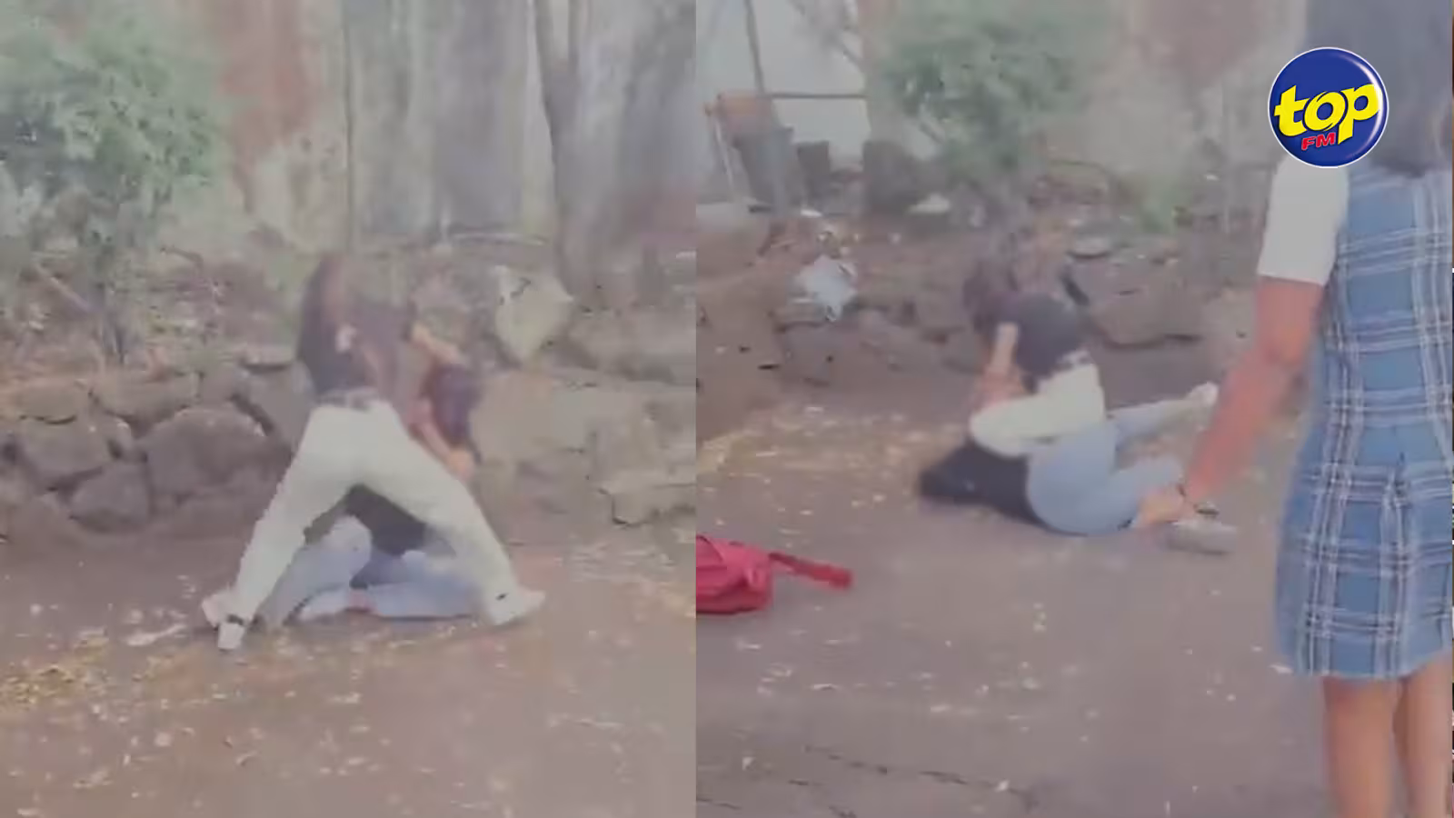 Violence en milieu scolaire : une vidéo montrant des collégiennes se rouer de coups circule sur les réseaux sociaux depuis quelques jours