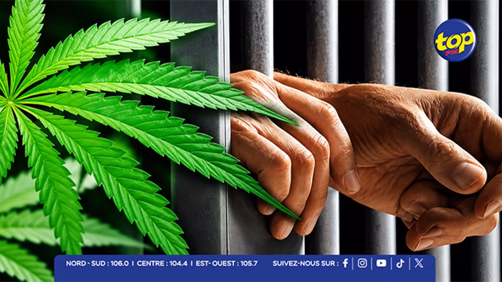 Cannabis : le débat sur la légalisation relancé dans Tempo La So