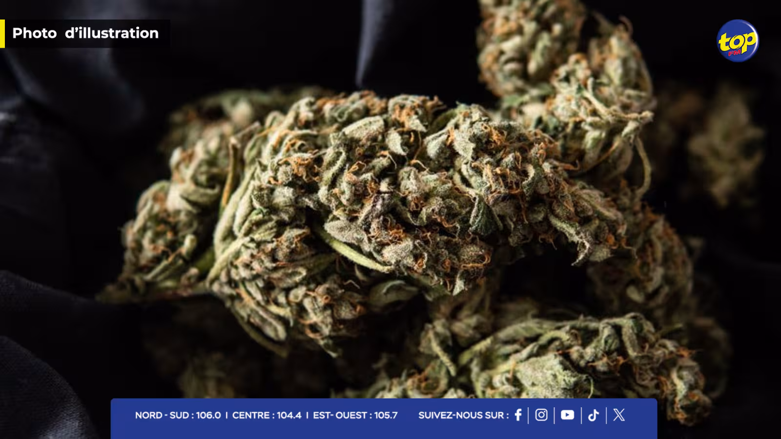 A Plaisance : 9,5 kilos de cannabis valant Rs15 millions saisis par la Special Striking Team
