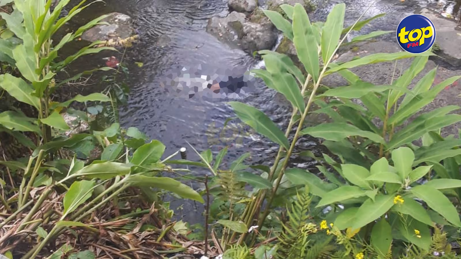 À Engrais-Martial, Curepipe : Un cadavre retrouvé dans une rivière cet après-midi