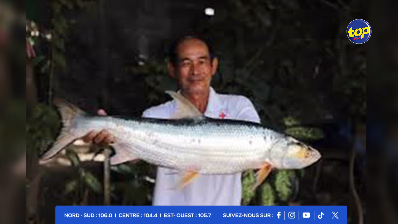 Cambodge - des poissons géants que l'on pensait disparus repérés dans le Mékong