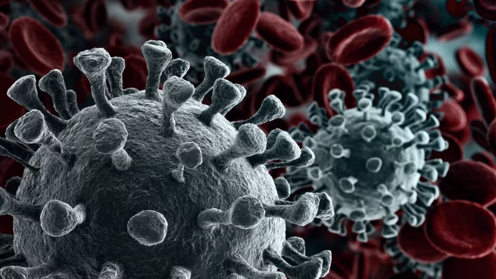 Covid-19 : Baisse considérable dans le nombre de cas annoncés durant les dix derniers jours