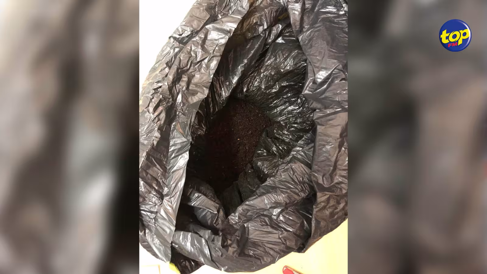 La Striking Team de l’ASP Jagai frappe encore : saisie de Rs 7,5 millions à Batterie Cassée