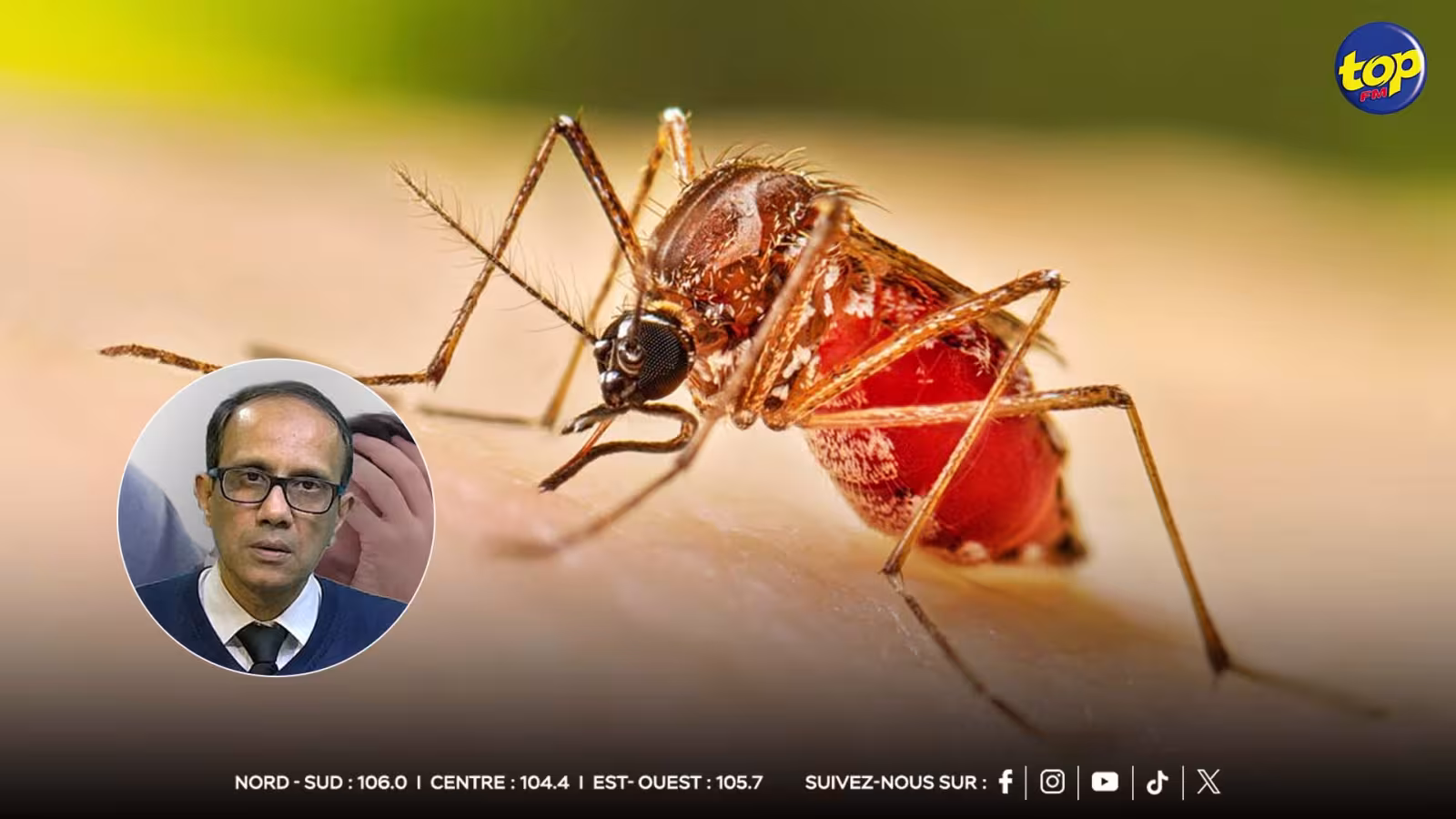 Chikungunya et dengue : environ 20 nouveaux cas par jour à Maurice, le ministère de la Santé appelle à la vigilance