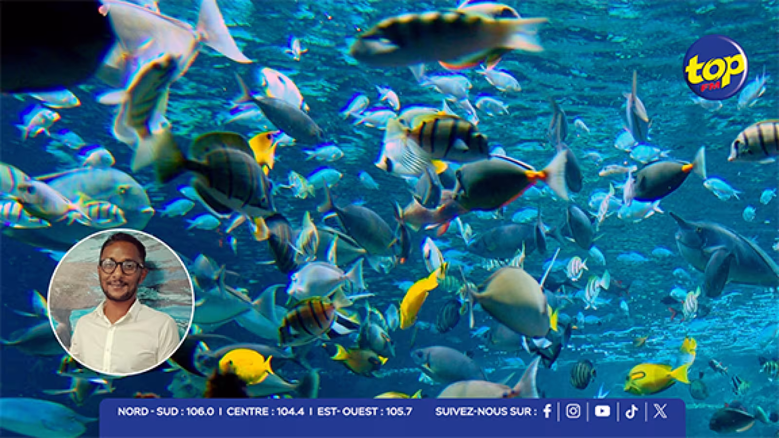 Vision 2050 : #Savetheblu crée un corridor bleu dans le Sud-Ouest