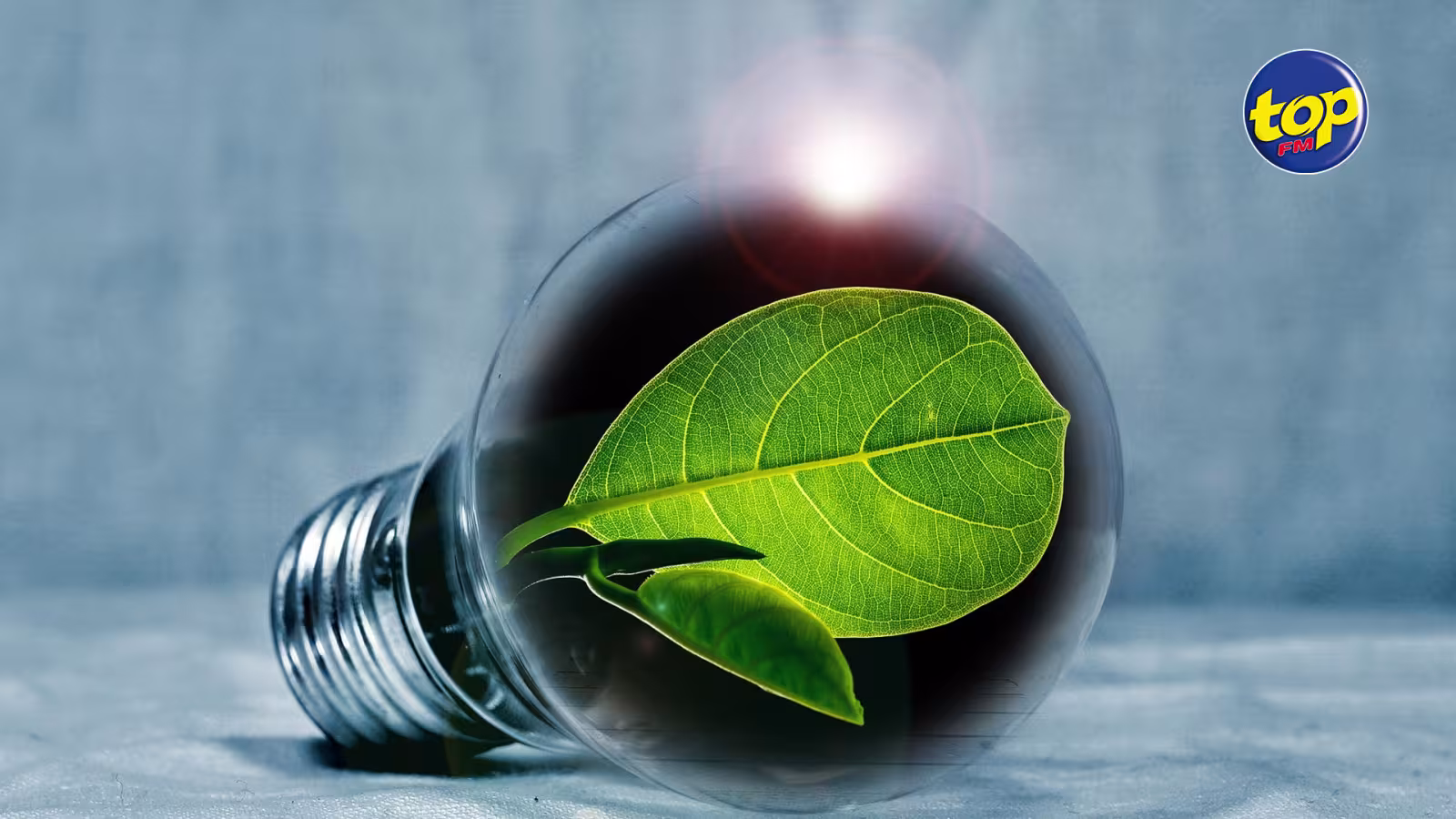 Energie verte :  produire 60 % d’énergie verte d’ici 2030