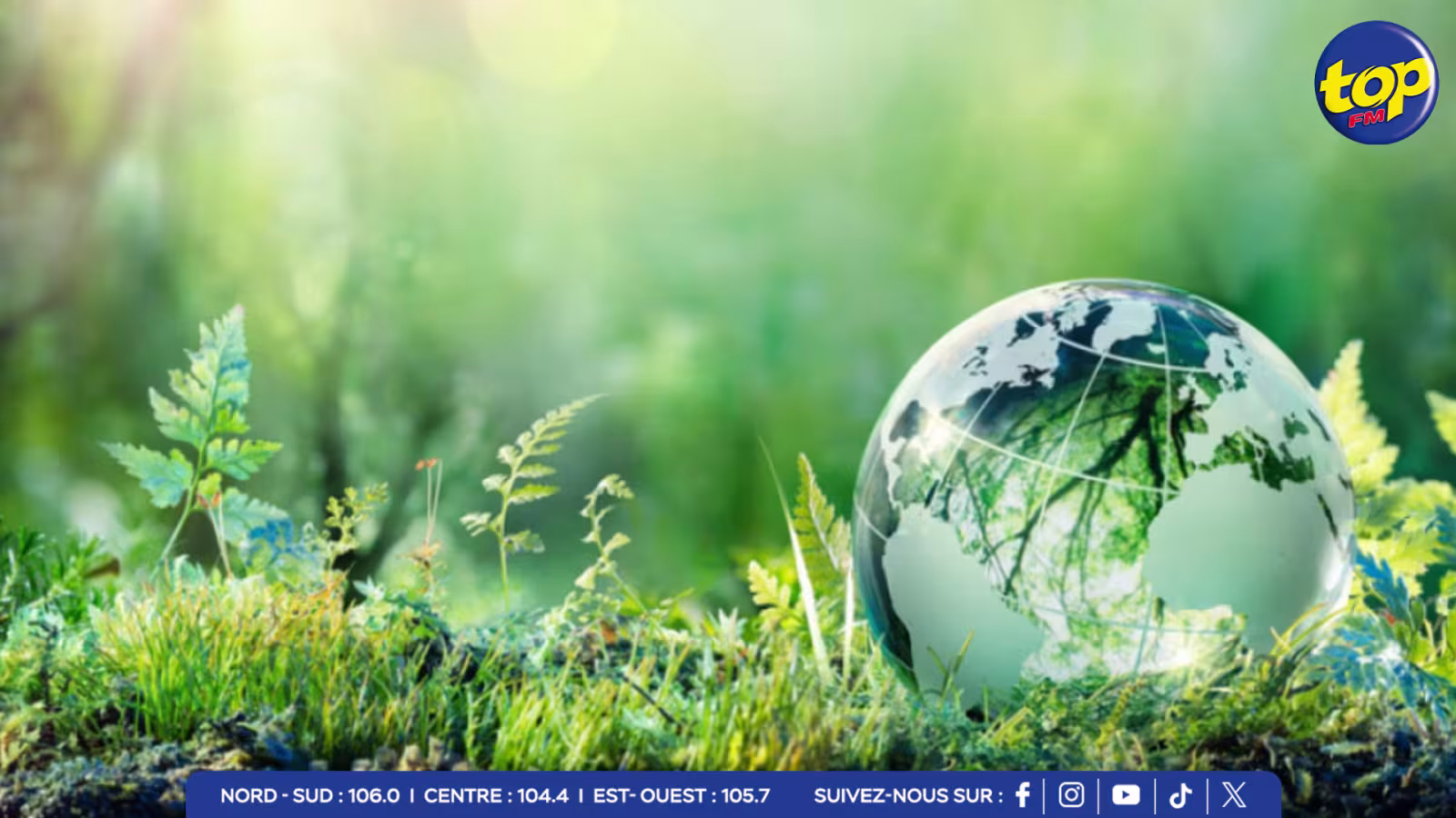 ENVIRONMENT