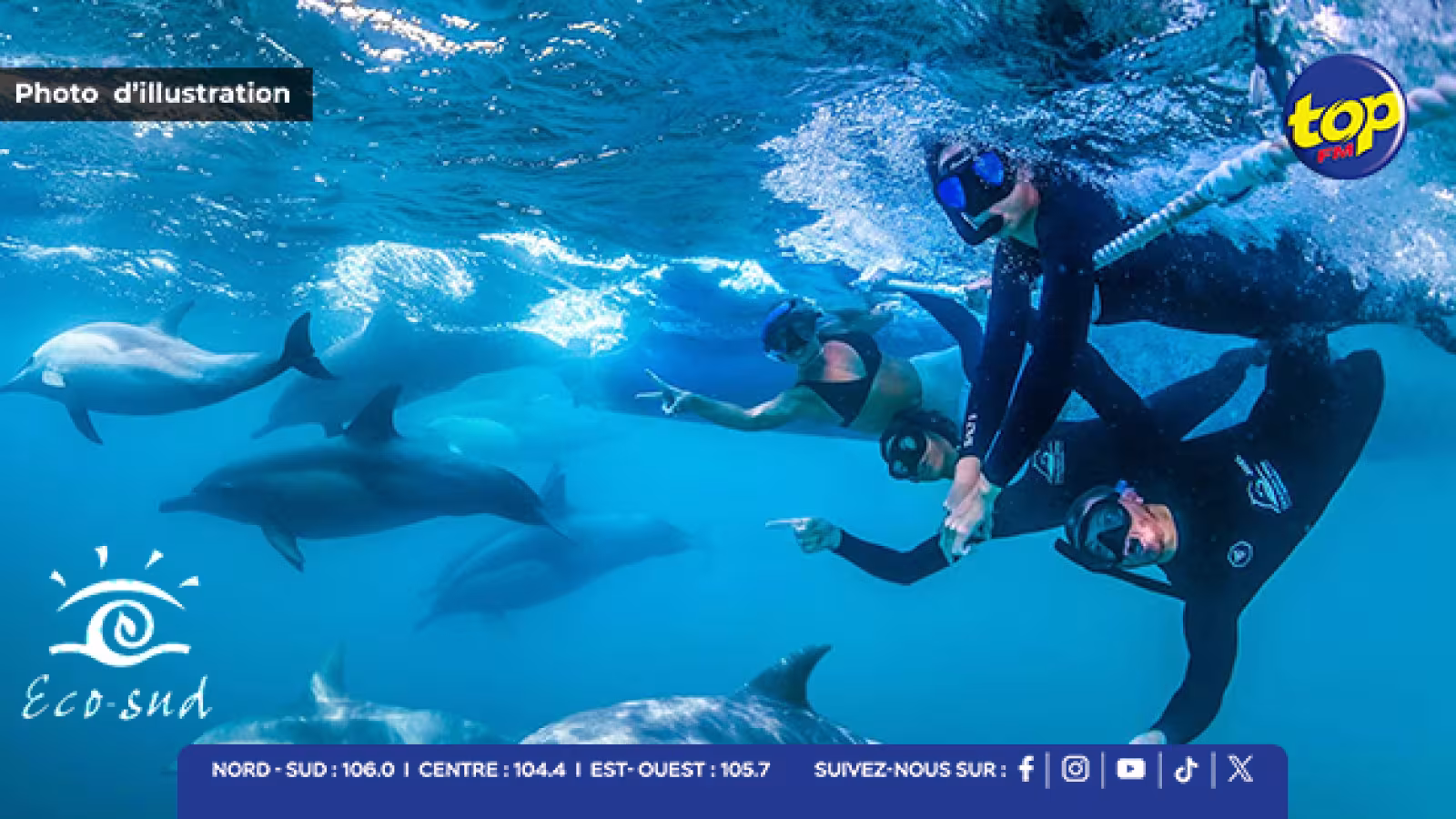 Eco-Sud lutte contre la nage illégale avec les mammifères marins : nouvelle audience le 9 Octobre 