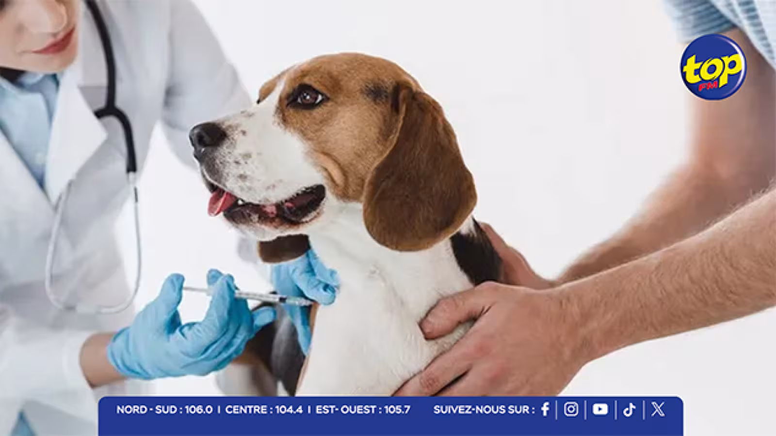 Enregistrement des chiens