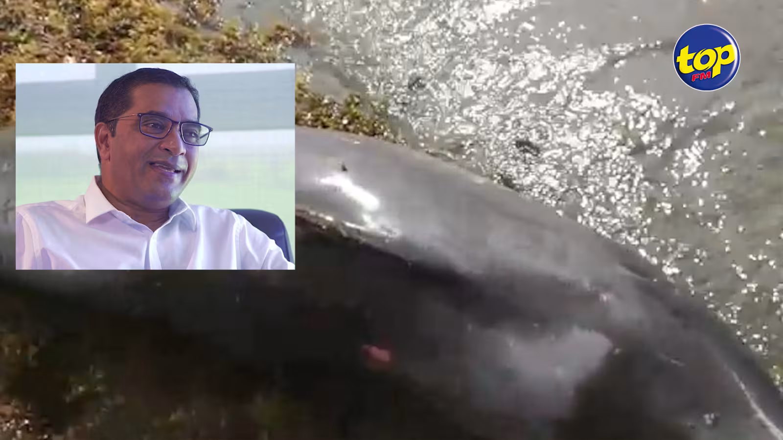 Paracétamol : ”La pénurie était artificielle dû à la mauvaise gestion du stockage’‘, insiste Farhad Aumeer