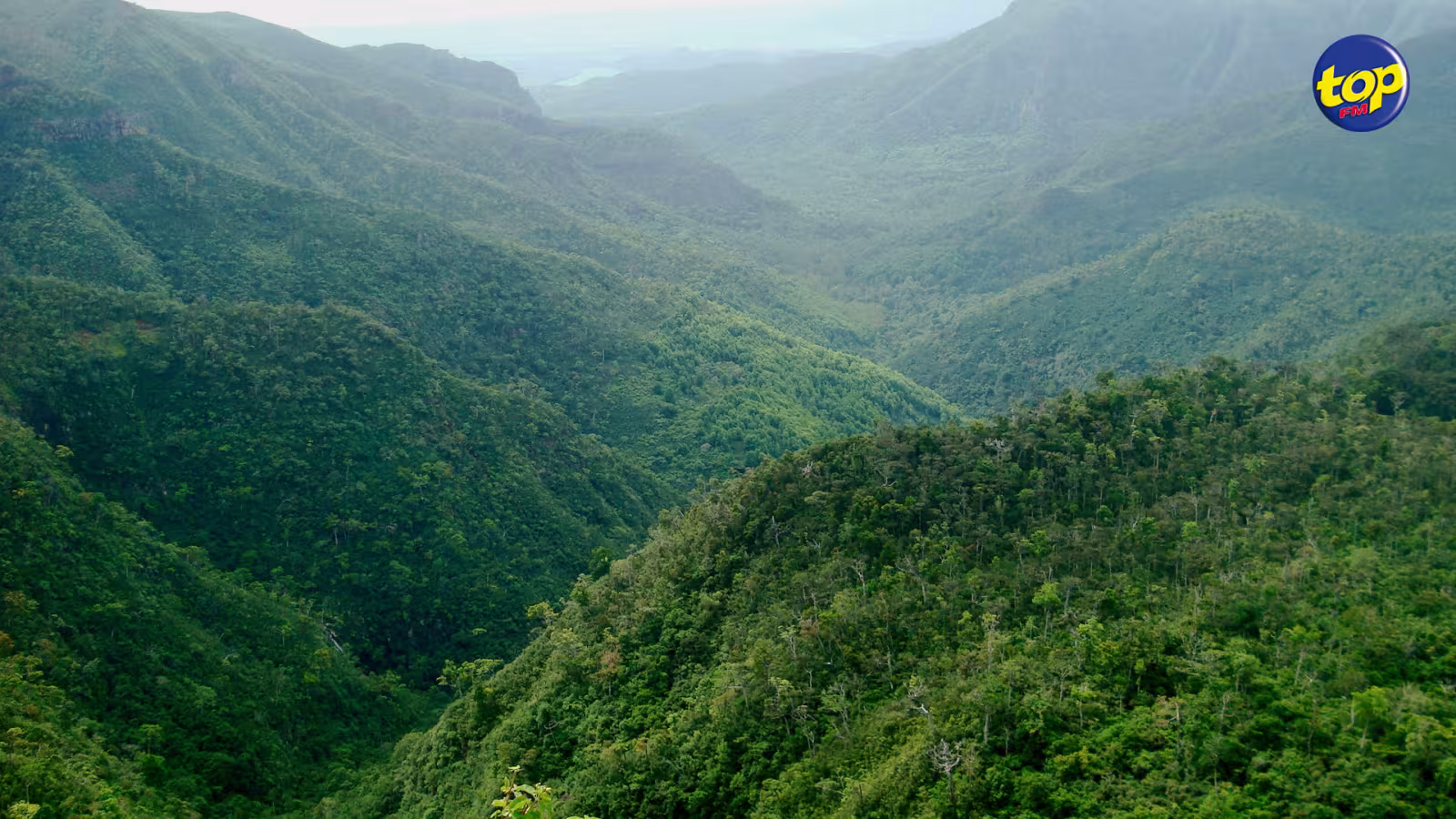Partis pour un Randonnée aux Gorges de la Petite Rivière Noire : 20 personnes ont dû être secourues