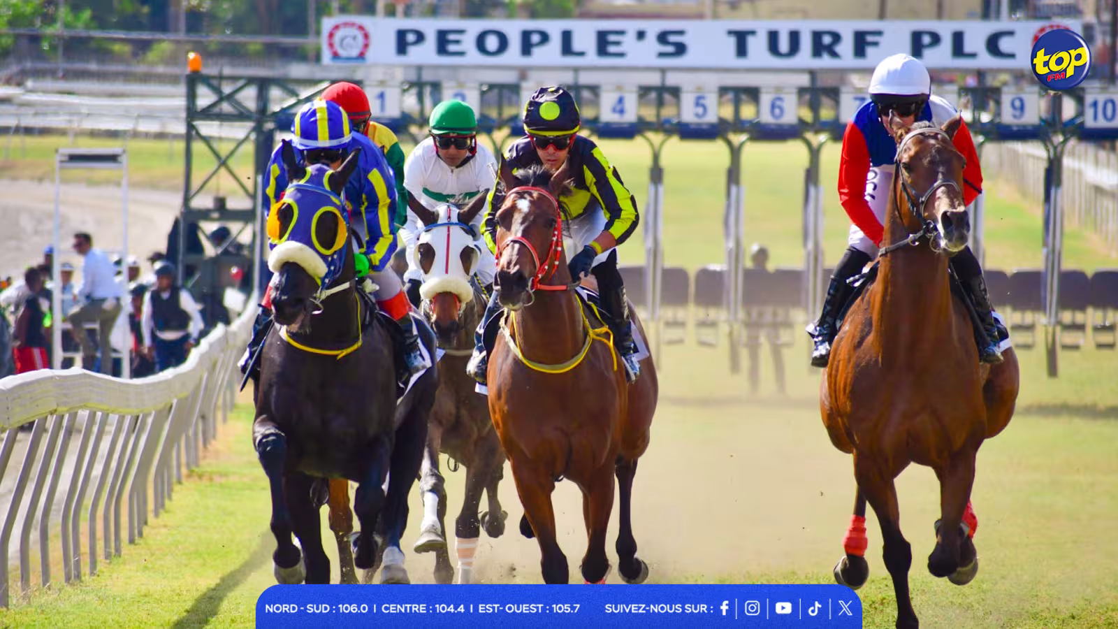 Hippisme