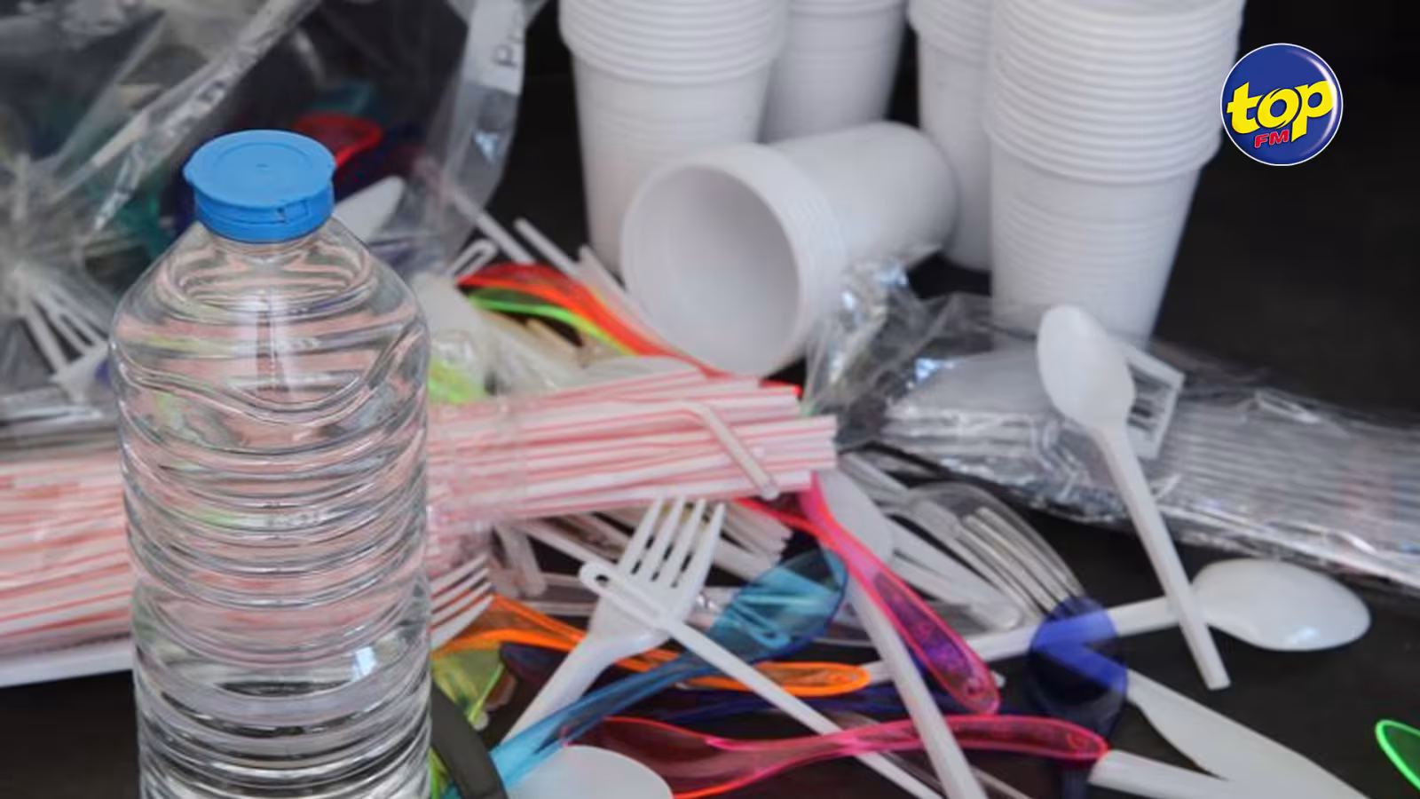 Interdiction du plastique à partir du 15 janvier 2021 : la Plastic Products Manufacturers & Users Association demande un délai d’un an et huit mois