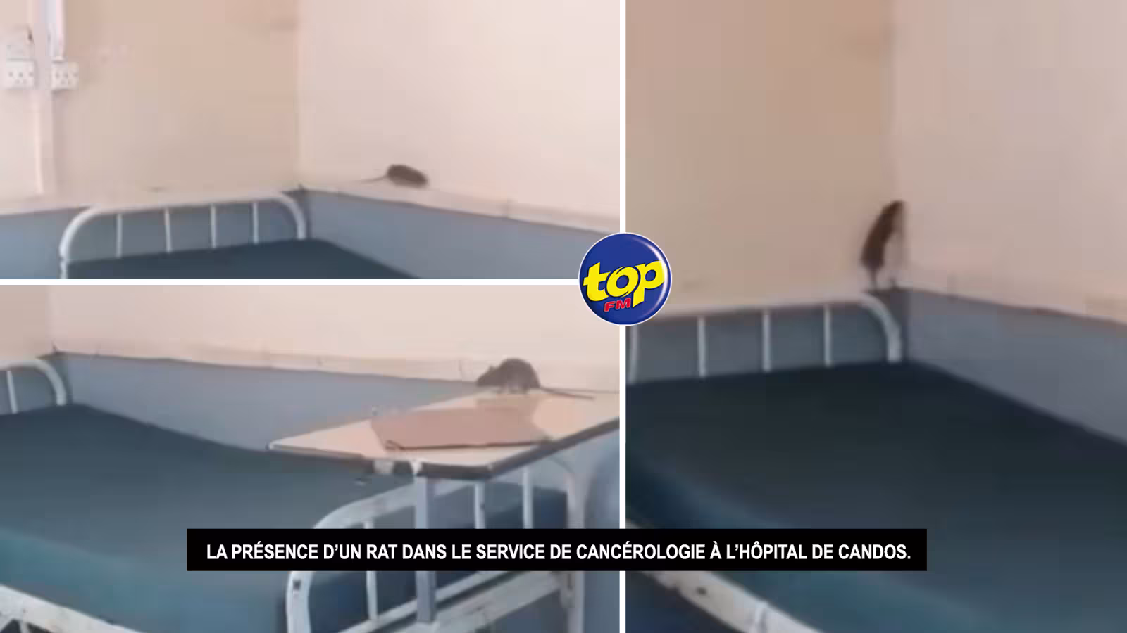 État insalubre du service de cancérologie de l’hôpital Victoria : « Si ena lérat dan lopital, nou coumadir ene pays bien pauvre » soutient Jayen Chellum de l’ACIM
