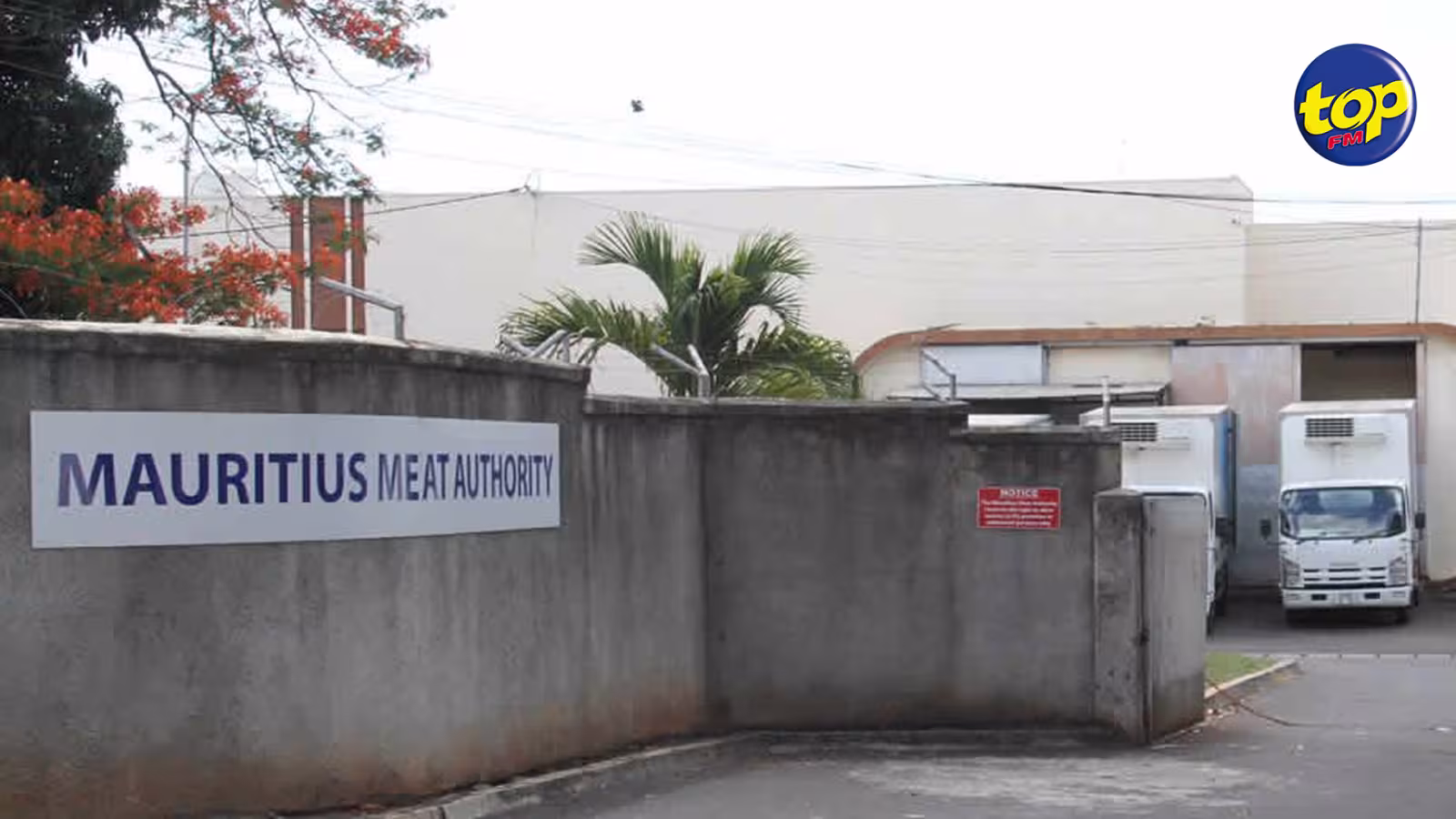 Post fièvre aphteuse à Rodrigues : Seule la Mauritius Meat Authority autorisée à importer du bétail de l’île