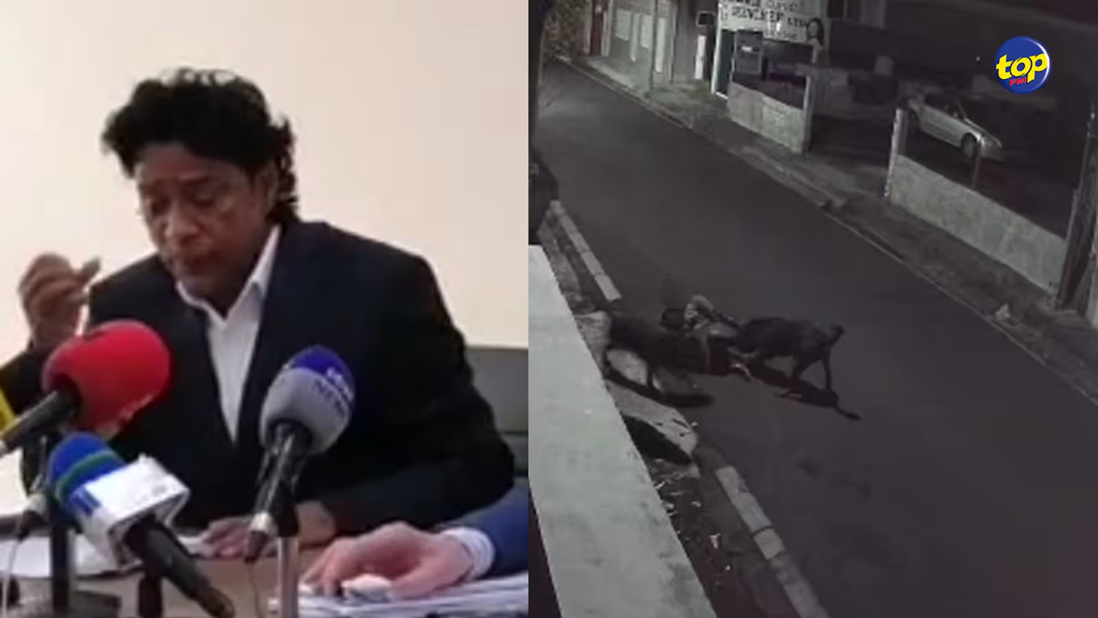 Un homme attaqué par deux rottweilers : « La loi est vague… il faudrait la revoir », affirme Nando Bodha