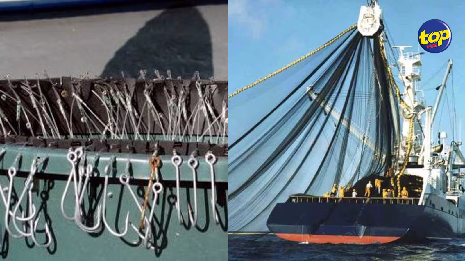 Secteur de la pêche : les frais des palangriers et des senneurs revus à la hausse