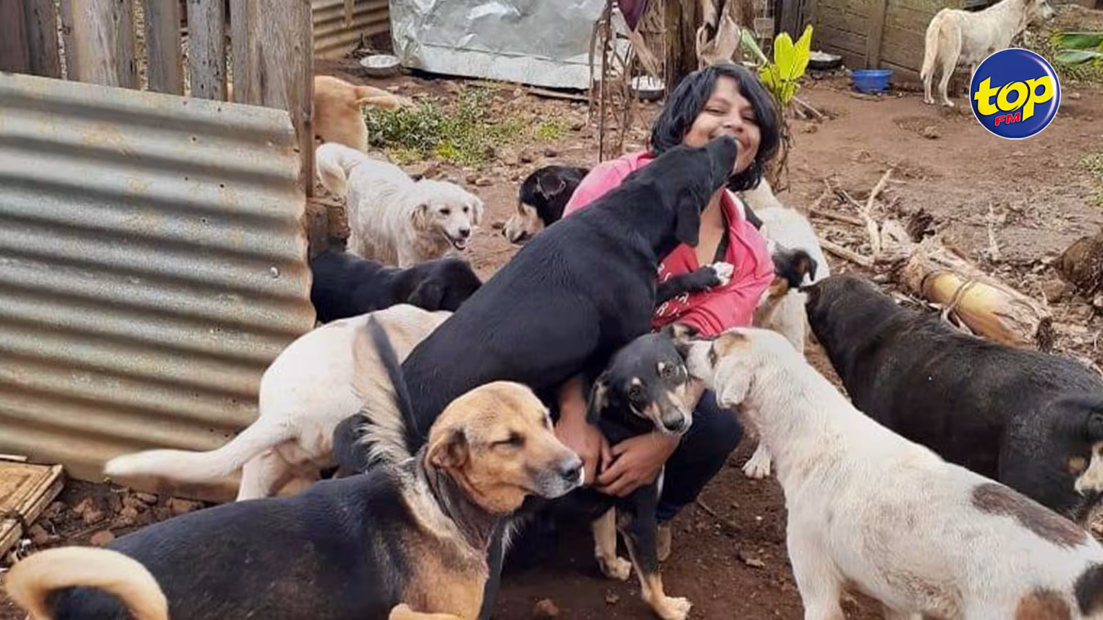 Restes humains découverts dans une maison à Plaine Magnien :la secouriste Preety Saachi exprime son intention d’adopter les chiens retrouvés sur place