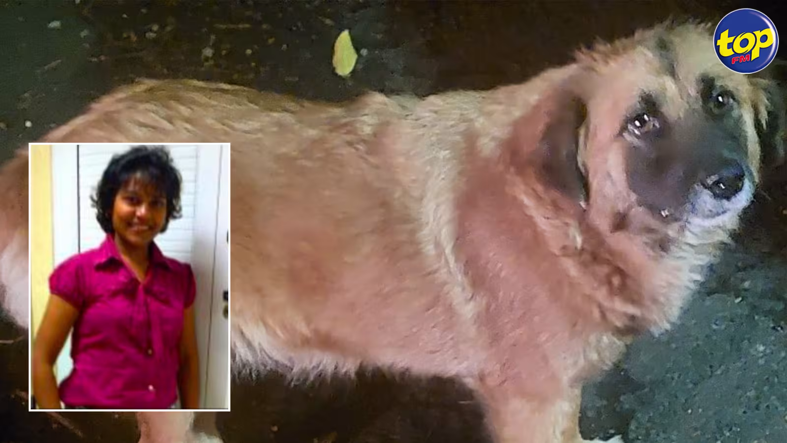 Elle nourrit des milliers de chiens et chats quotidiennement dans les rues, et les abris : Pretty Saachi fait appel à votre générosité, un caddie est mis à votre disposition chez Intermart , de  Curepipe
