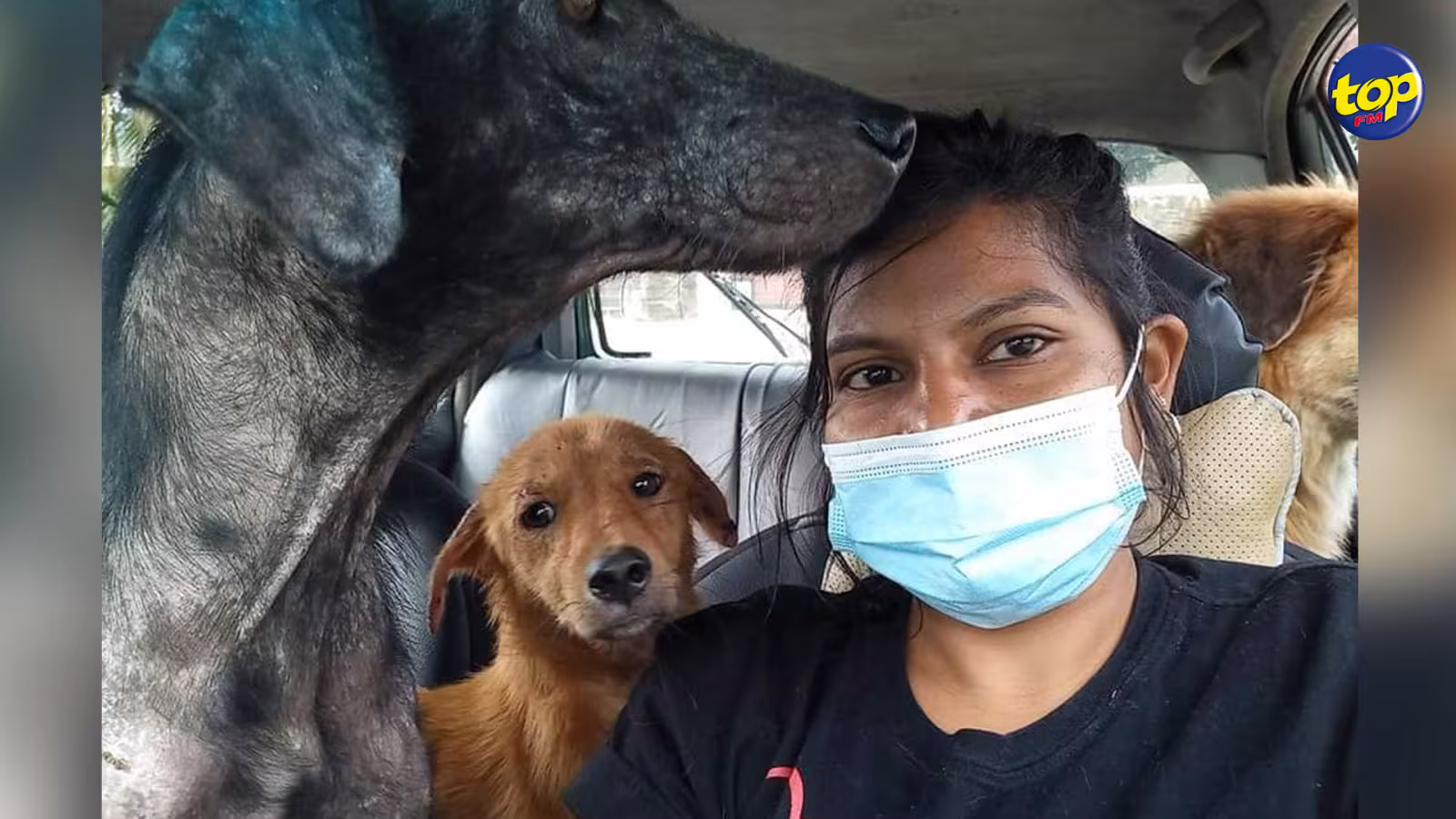 Vidéo montrant le cheval Special Force être malmené : ‘‘Ena beaucoup zafer ki dérouler avant ek après ene lecourse ,ki nou pas au courant,’’ , s’insurge  Pretty Saachi ,  qui préconise des sanctions contre le handler