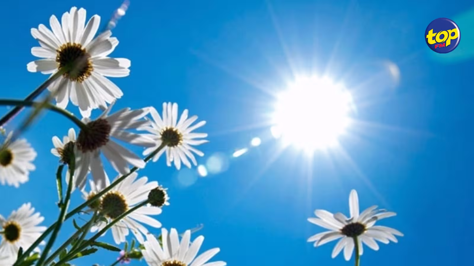 Météo : Beau temps prévu ce samedi