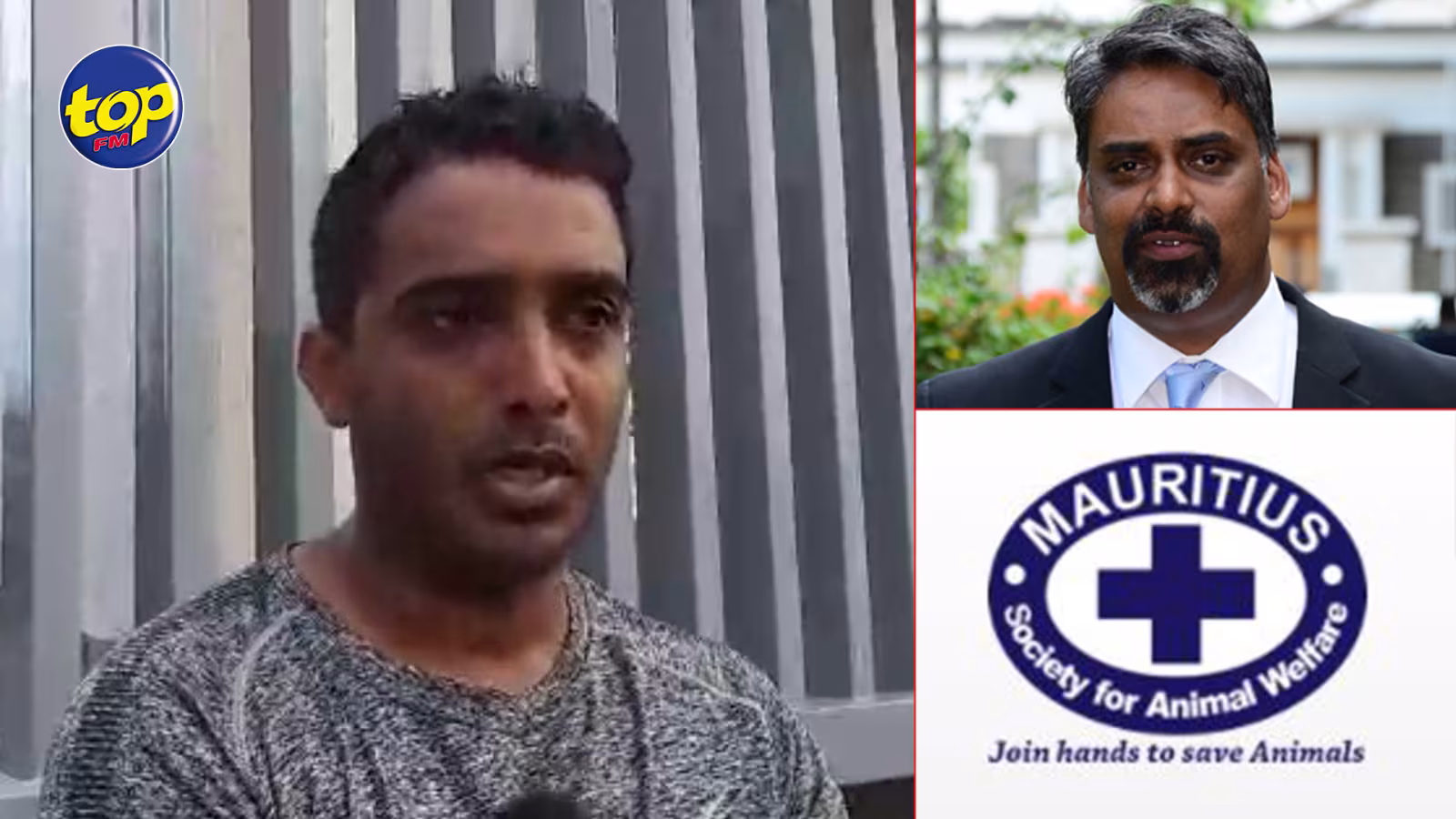 Allégation d’atrocités et de négligence : Des actes « démoniaques » commis envers les animaux…la MSAW et le ministre de l’Agro-industrie doivent être punis, s’insurge Sameer Golam