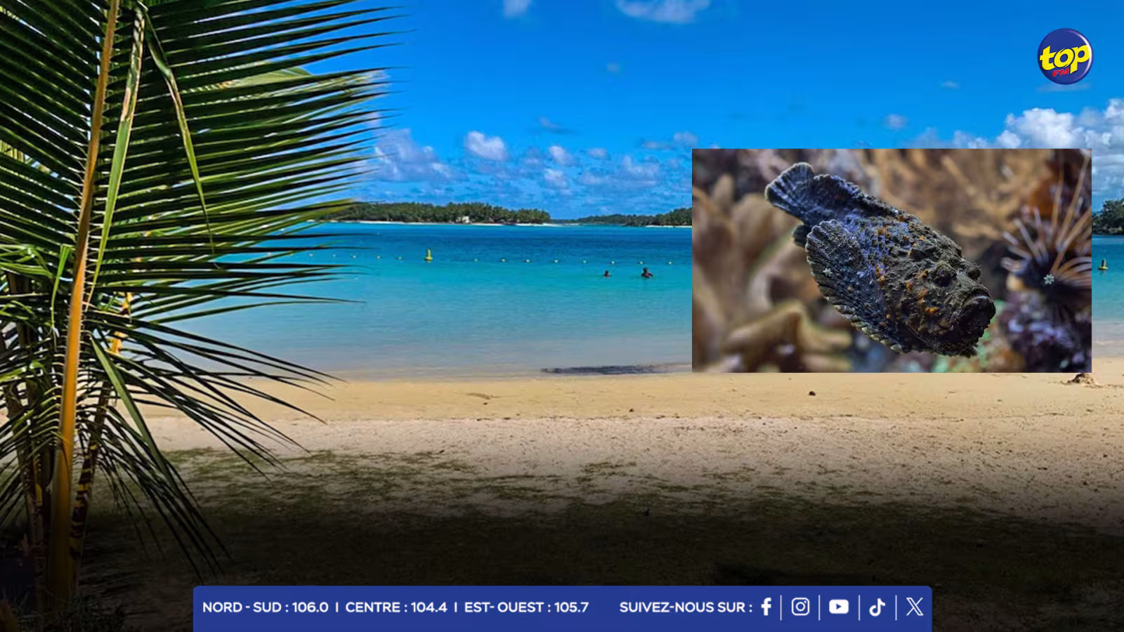 Sécurité des lagons : présence des poissons-pierres « Laffe Laboue  dans le lagon de Blue Bay selon la police 