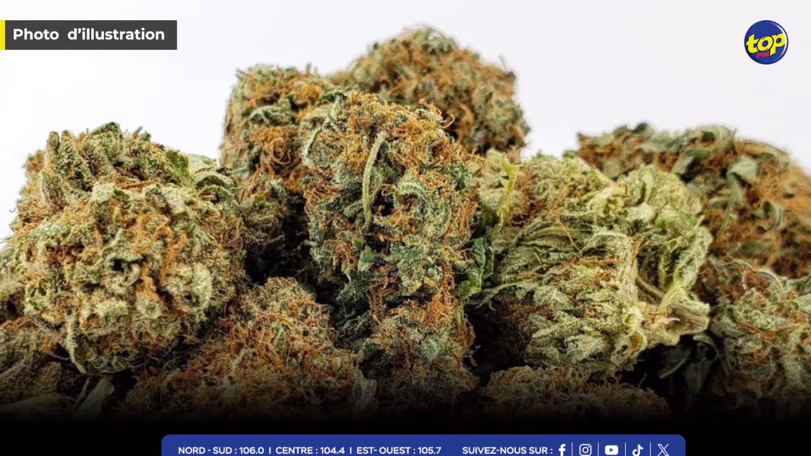 À Ste Croix : saisie de 25kg de cannabis valant Rs 35 millions 