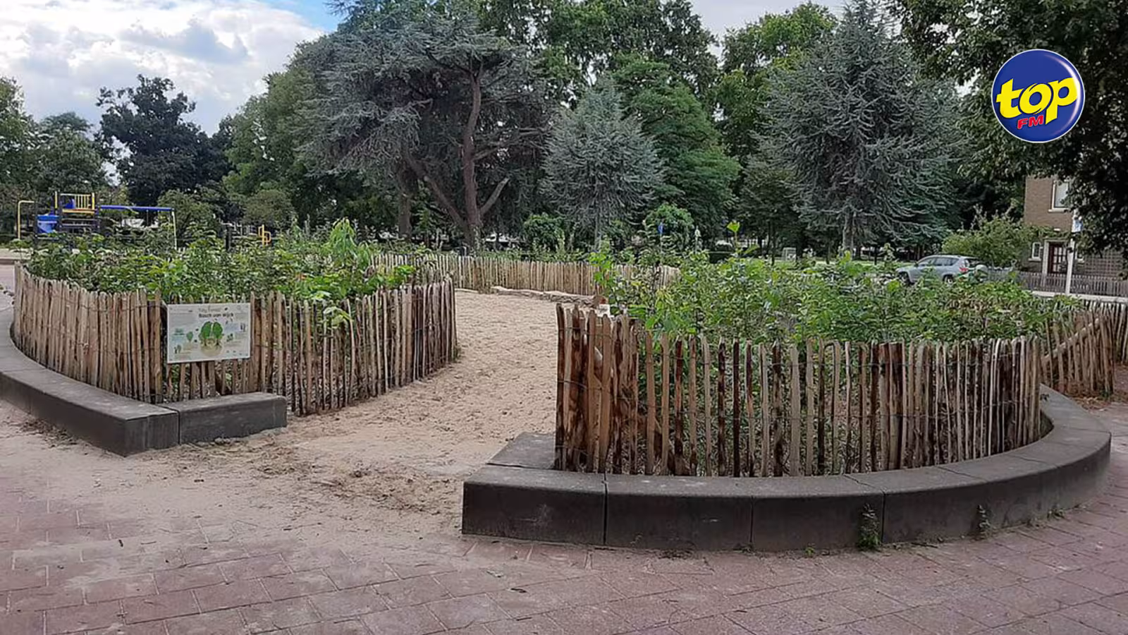 Dans le cadre de la fête nationale : « Nous allons aménager une Tiny Forest devant la Place Cathédrale », annonce le père Jean Maurice Labour