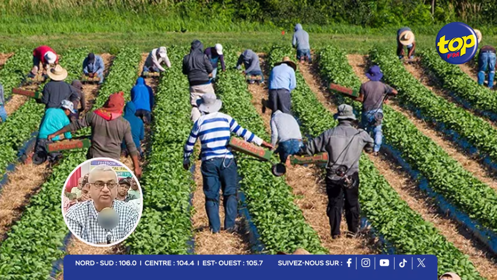 secteur agricole