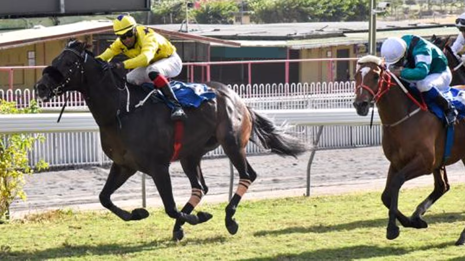 Hippisme : Vascostreetractor et Pera Palace partent avec l’étendard de favori