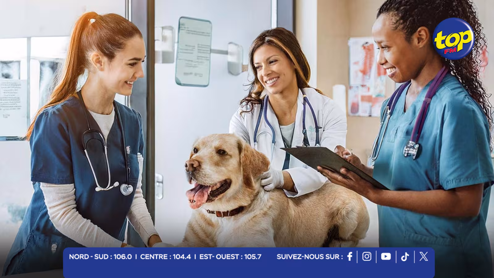 Veterinary Laboratories