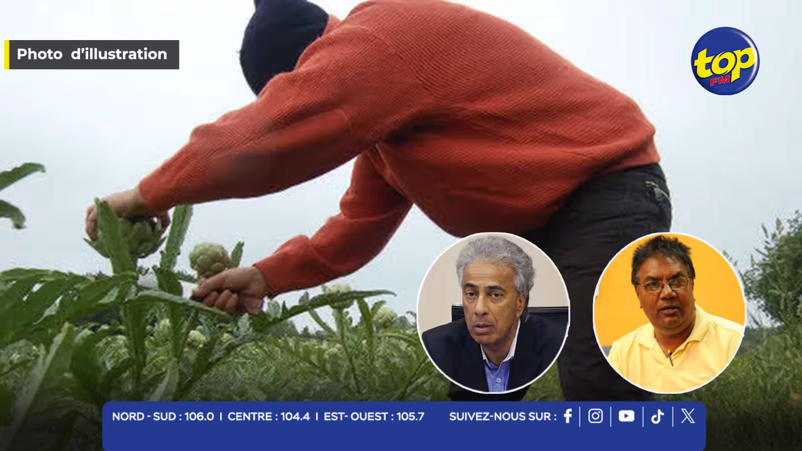 Vols de légumes