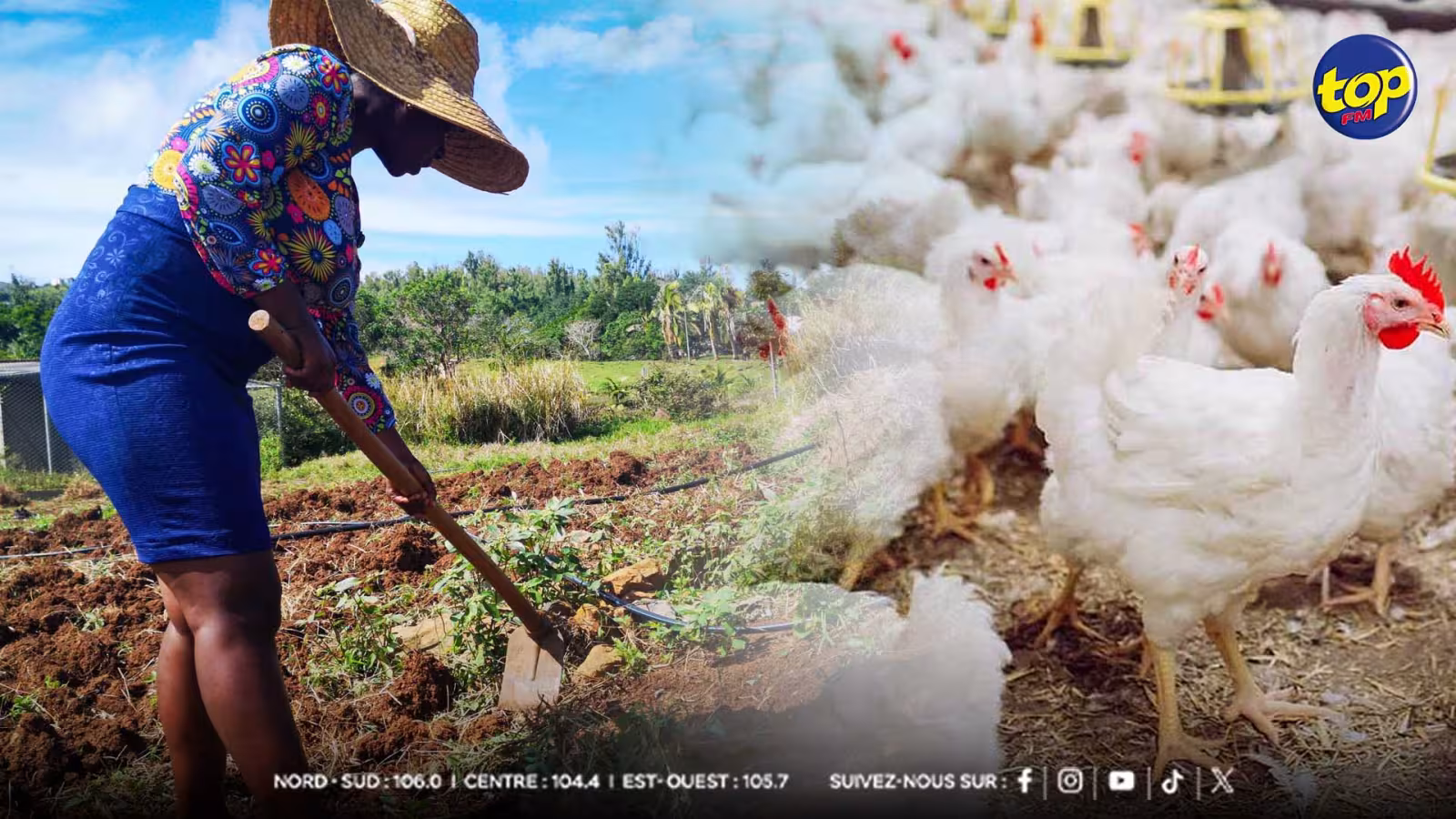 Recensement agricole 2024 : entre fragilité structurelle et dépendance aux terres publiques