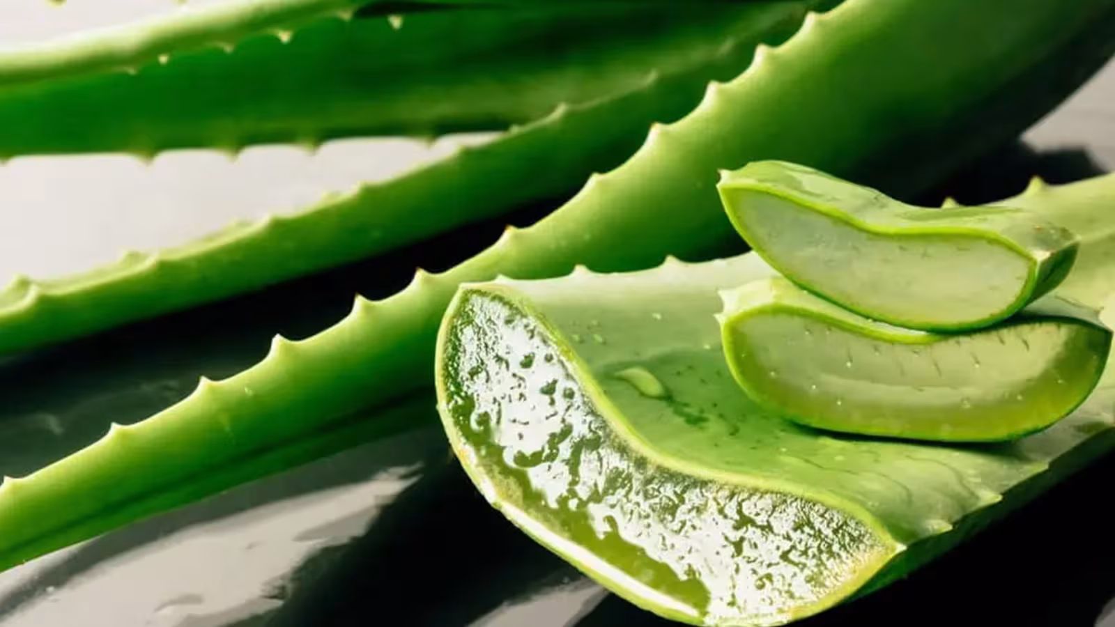 L’aloe vera pour lutter contre le viellissement de la peau