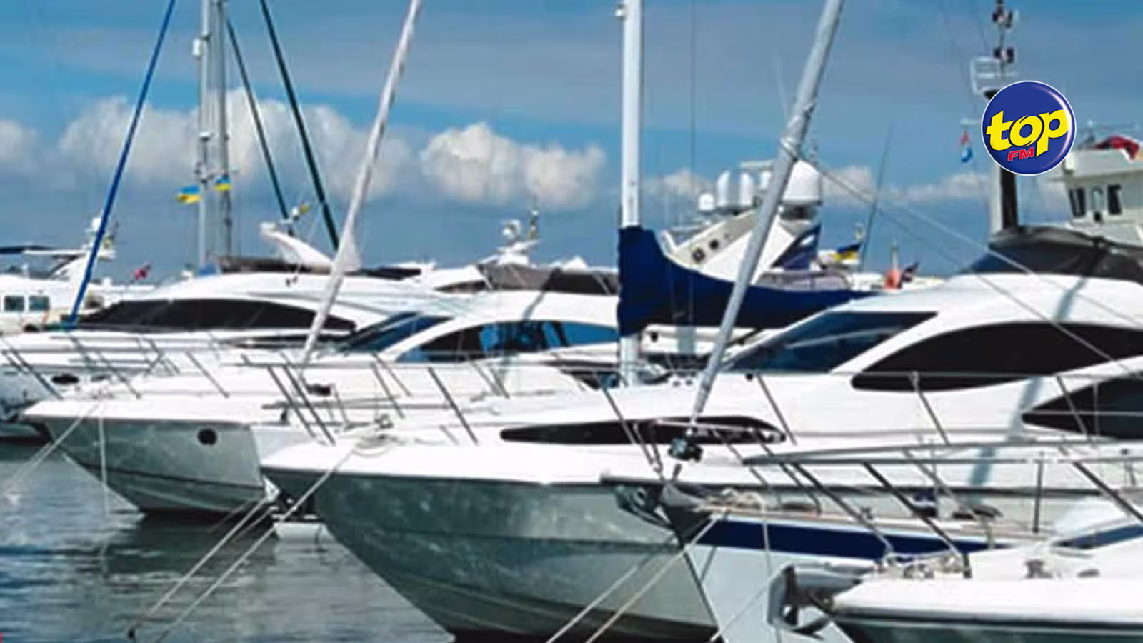 White Grub Protocol : Maurice implémente les mesures pour prévenir l’invasion accidentelle des insectes à travers les avions et les bateaux