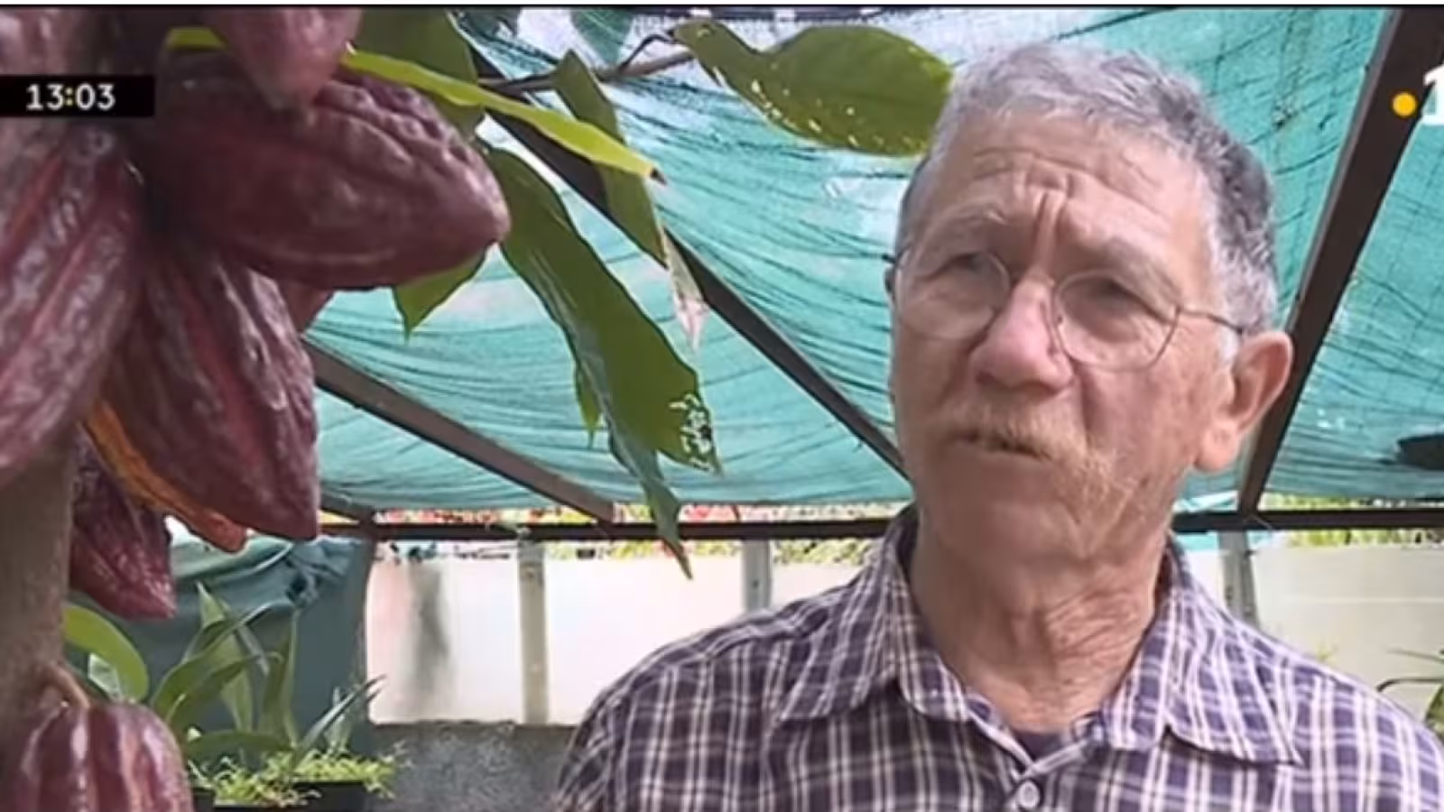 La Réunion produira bientôt son chocolat avec du cacao « péi »