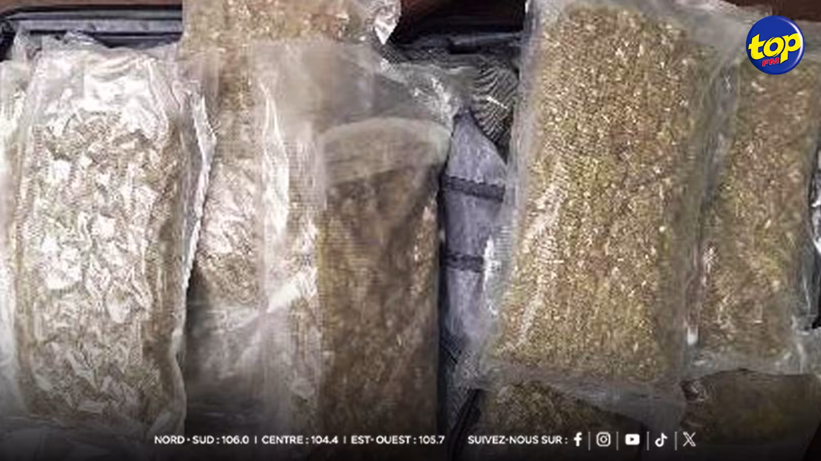 Réglementation du cannabis : CLAIM propose le cannabis pour faire remonter l’économie