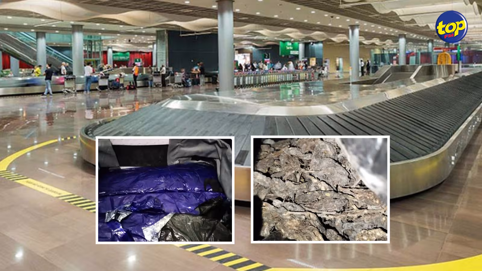 A l’aéroport de Plaisance  lundi dernier : deux ressortissants indiens arrêtés avec trois colis de cannabis estimé à 3,4 millions