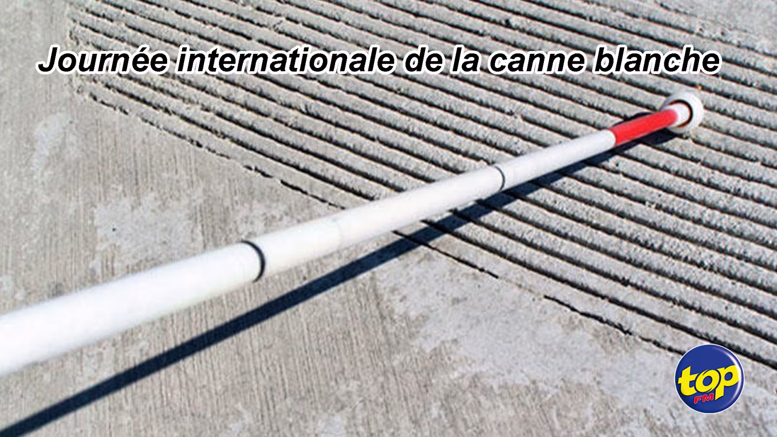 Journée internationale : La canne blanche… symbole de cécité