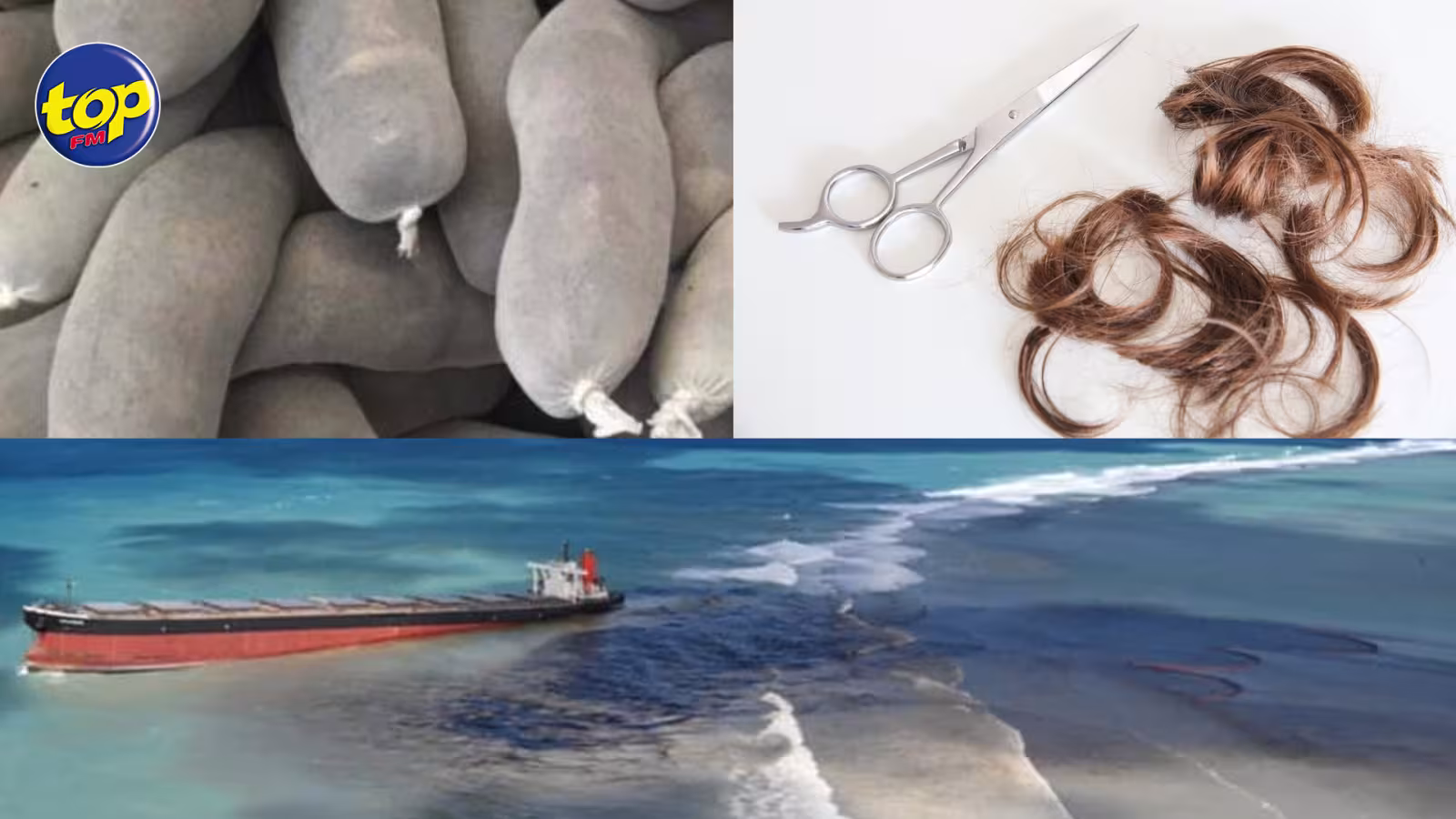 Fuite d’huile du Wakashio: collecte de cheveux dans les salons de coiffure l’Oréal pour dépolluer nos eaux