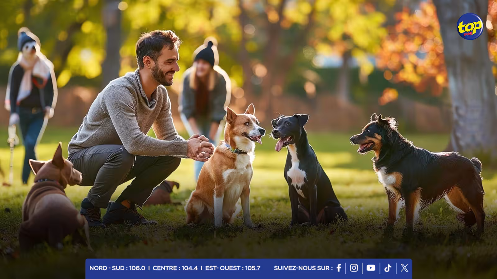 Journée Internationale des Chiens : Un vibrant hommage à nos compagnons à quatre pattes